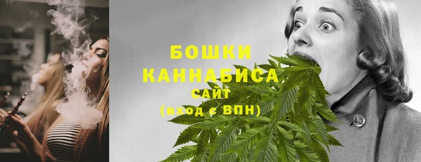 индика Верея